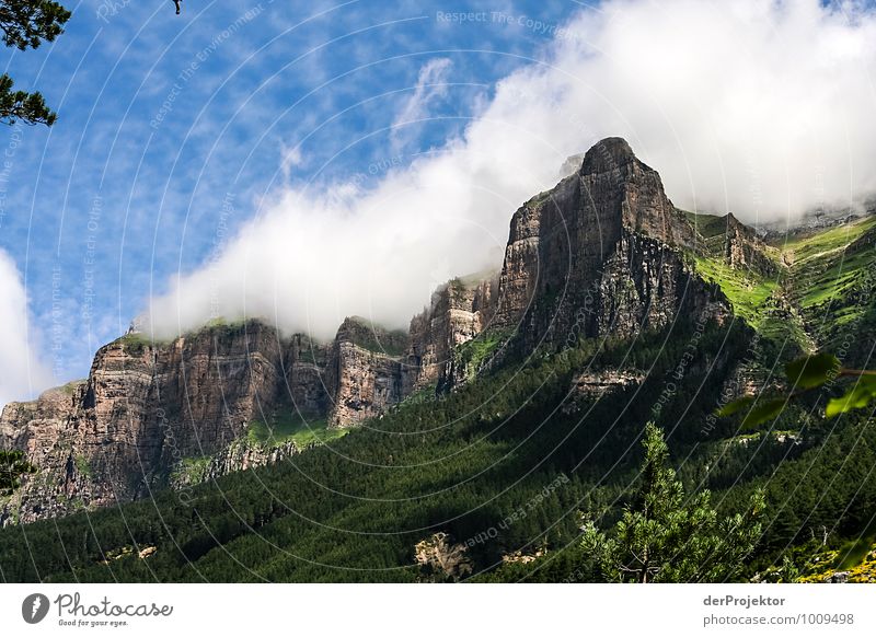 Wolkenkratzer Freizeit & Hobby Ferien & Urlaub & Reisen Tourismus Ausflug Abenteuer Ferne Freiheit Berge u. Gebirge wandern Umwelt Natur Landschaft Pflanze