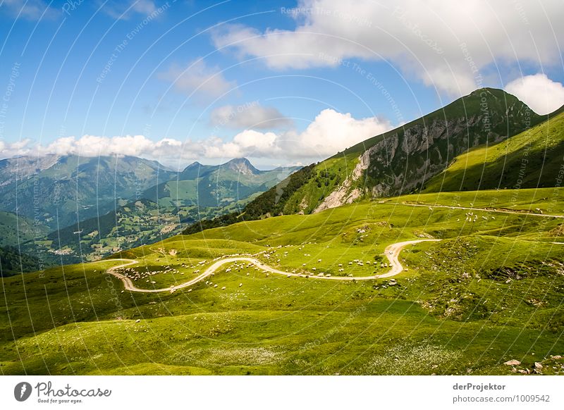 Kühe können so klein wirken Ferien & Urlaub & Reisen Tourismus Ferne Berge u. Gebirge wandern Umwelt Natur Landschaft Pflanze Tier Urelemente Sommer