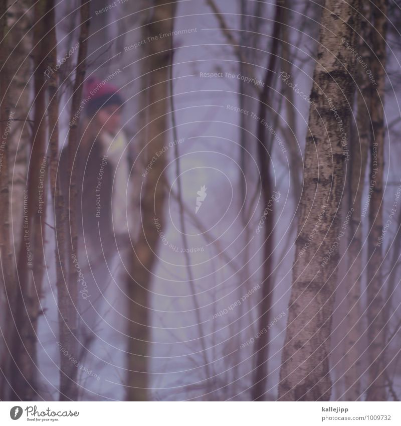 birkenwald Kind Mädchen 1 Mensch 8-13 Jahre Kindheit stehen Birke Wald Nebel rosa Schneefall weiß Mütze Schal Jacke Winter Märchen Farbfoto Außenaufnahme Licht