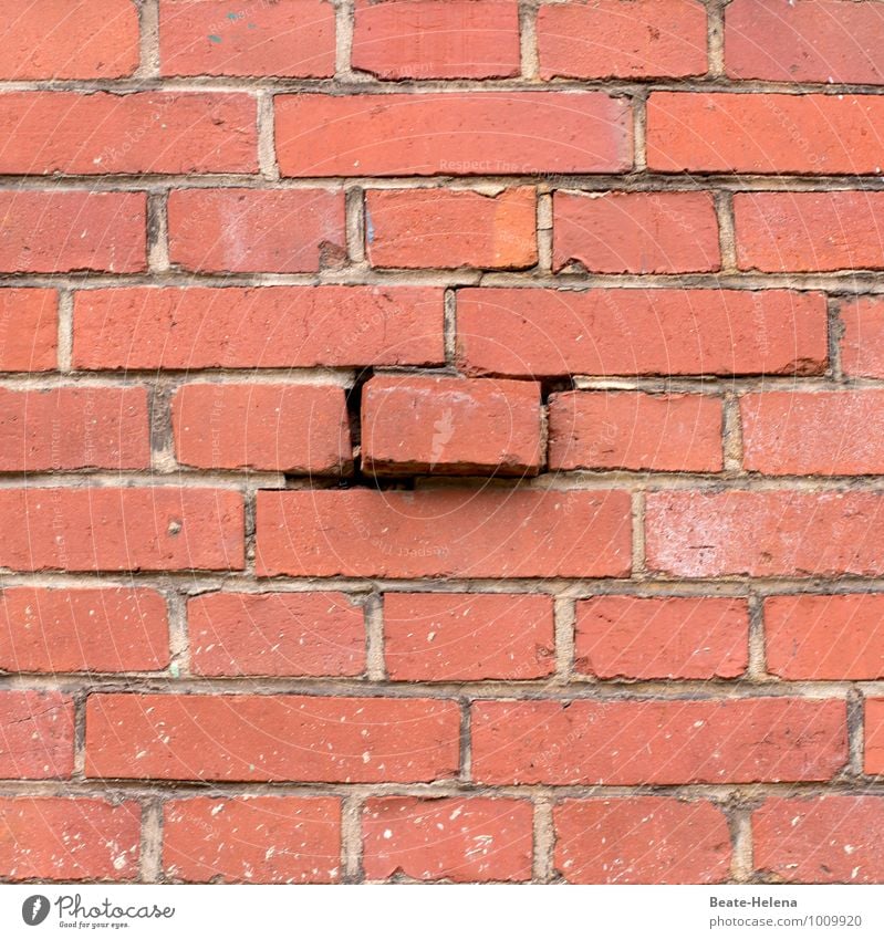 Another brick in the wall Häusliches Leben Hausbau Renovieren Bauwerk Mauer Wand Backstein wählen Bewegung festhalten eckig kaputt rot Stress Ende