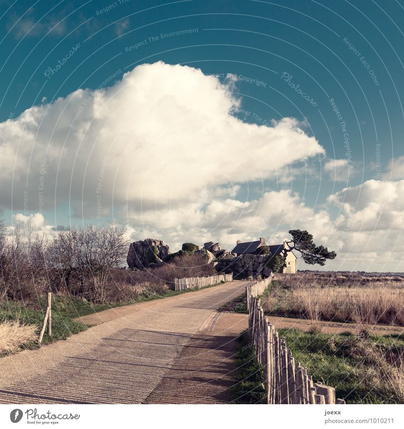 Latten am Zaun Landschaft Himmel Wolken Schönes Wetter Baum Wiese Menschenleer Haus Straße alt schön blau braun grün Einsamkeit Erholung Idylle Farbfoto Tag