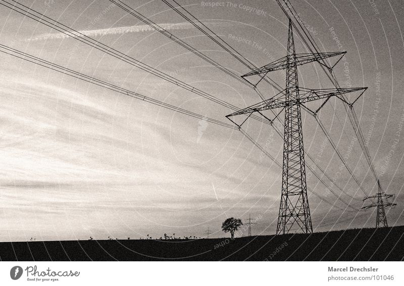 Frei Strom für Alle! Elektrizität weiß Landweg Feld Schwarzweißfoto Strommast schwar Sepia Körnung Energiewirtschaft Kabel Mäste Leitung rau