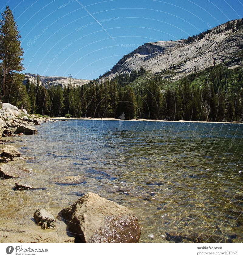 Yosemite II See Baum grün Flugzeug Gewässer träumen unberührt USA Klarheit Berge u. Gebirge Stein Felsen Wasser Küste Himmel blau Natur Landschaft Leben