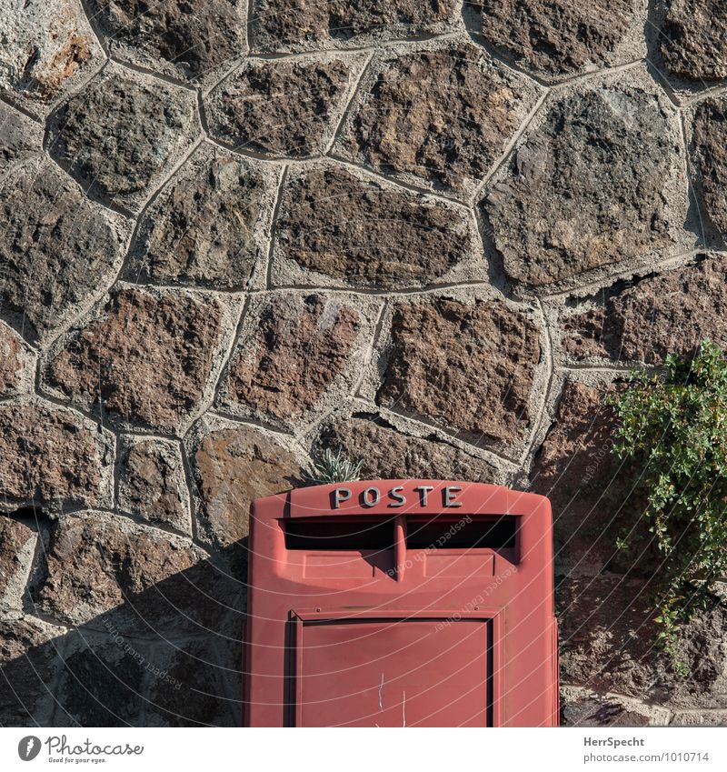 Auf dem Posten Italien Altstadt Bauwerk Mauer Wand Stein Metall Schriftzeichen natürlich rot Briefkasten Pflanze Biotop sprießen Wachstum Grünpflanze grünen