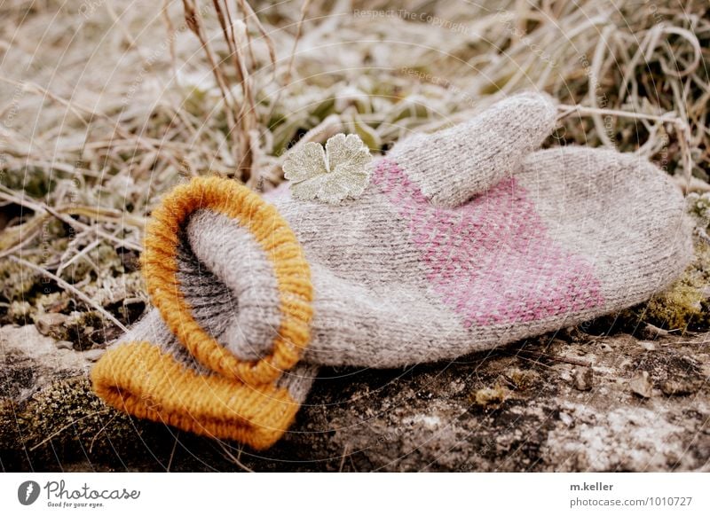 Frost Winter Hand Finger Natur Eis Bekleidung Handschuh frieren gehen Wärme weich kalt Farbfoto Gedeckte Farben