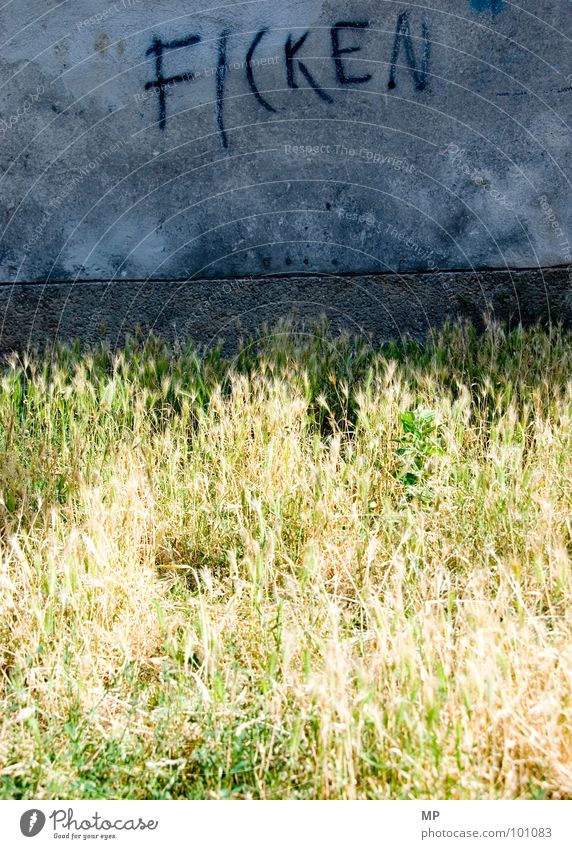 JETZT! ALLE! SOFORT! Sex laufen entwenden Wippe Kehren löffeln entdecken stechen Ernährung lutschen Verkehr Bündnis normal Tagger Wand Gras Licht kaputt