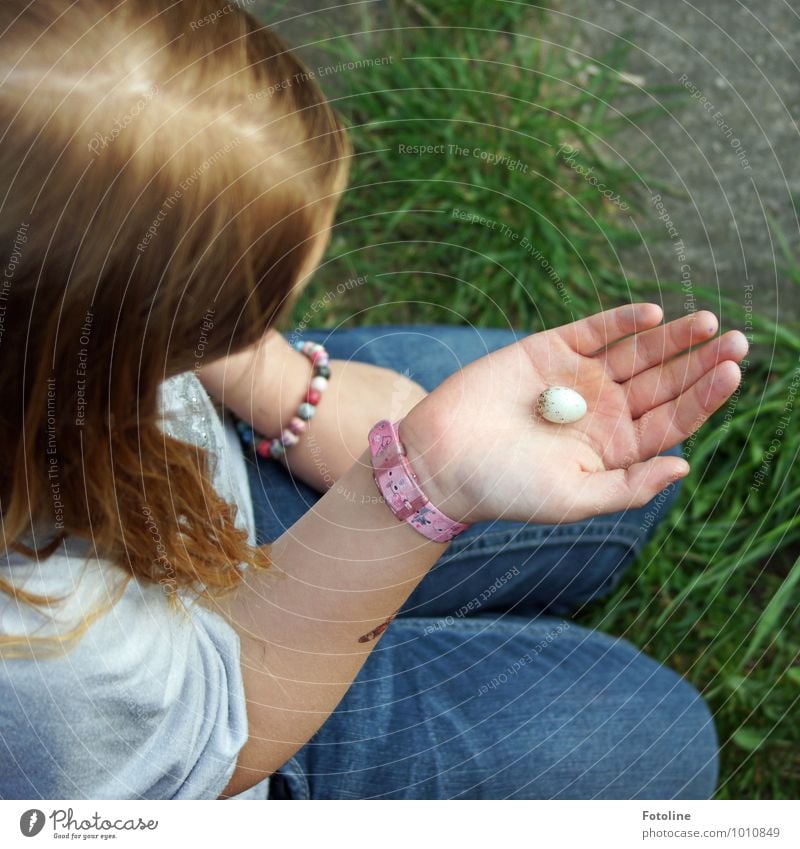 Nestflüchtling Mensch feminin Kind Mädchen Kindheit Haut Kopf Haare & Frisuren Arme Hand Finger Umwelt Natur Pflanze Tier Schönes Wetter Gras Garten klein nah