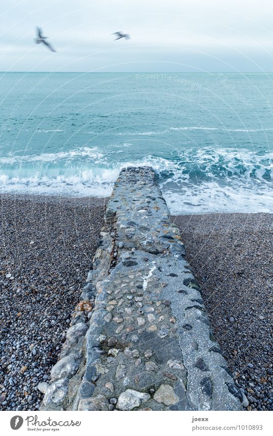 Eine Million Erinnerungen Urelemente Wasser Himmel Wolken Horizont schlechtes Wetter Wind Wellen Küste Strand Meer Mauer Wand Vogel Möwe 2 Tier Stein Beton