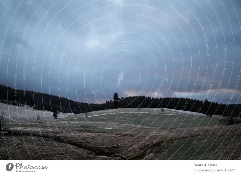 Alles hat seine Zeit Ferien & Urlaub & Reisen Natur Landschaft Wolken Winter schlechtes Wetter Eis Frost Schnee Baum Feld Hügel Schwarzwald Dorf dunkel blau