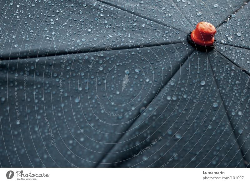 bad weather buzzer Regenschirm nass schlechtes Wetter tief stoppen Knöpfe Stock Strebe streben Stoff Bespannung Stern (Symbol) grau rot Gewitter Wasser