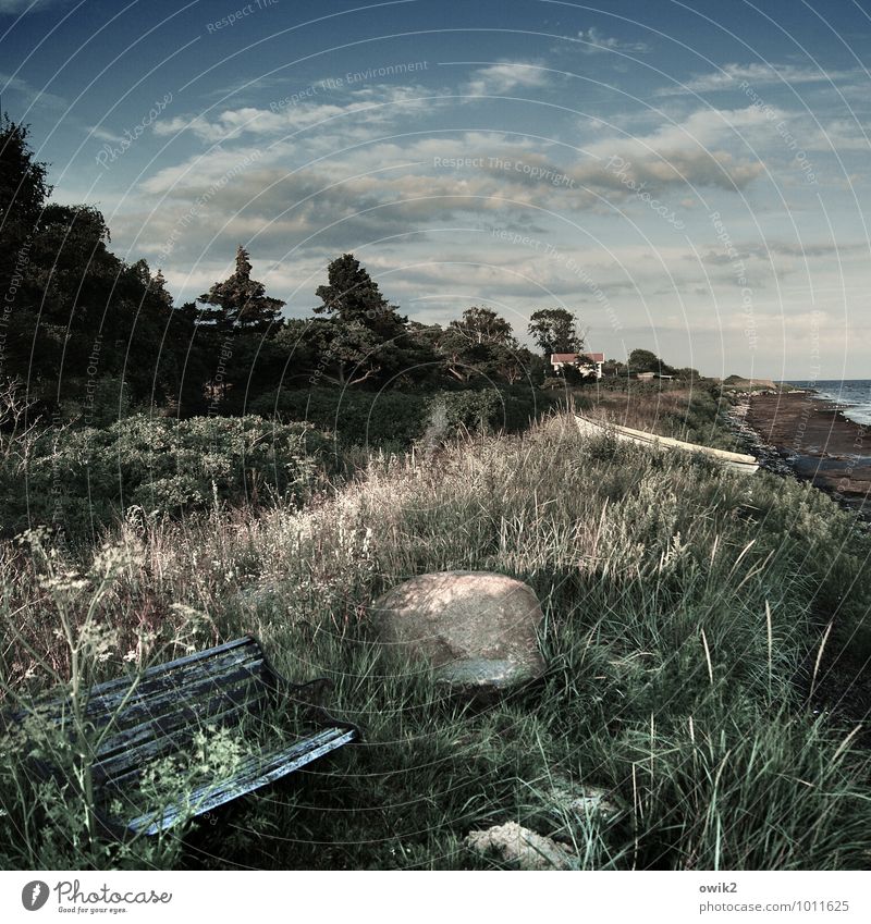 Nordbank Ferien & Urlaub & Reisen Tourismus Ferne Umwelt Natur Landschaft Pflanze Wasser Himmel Wolken Horizont Klima Schönes Wetter Baum Gras Sträucher Küste