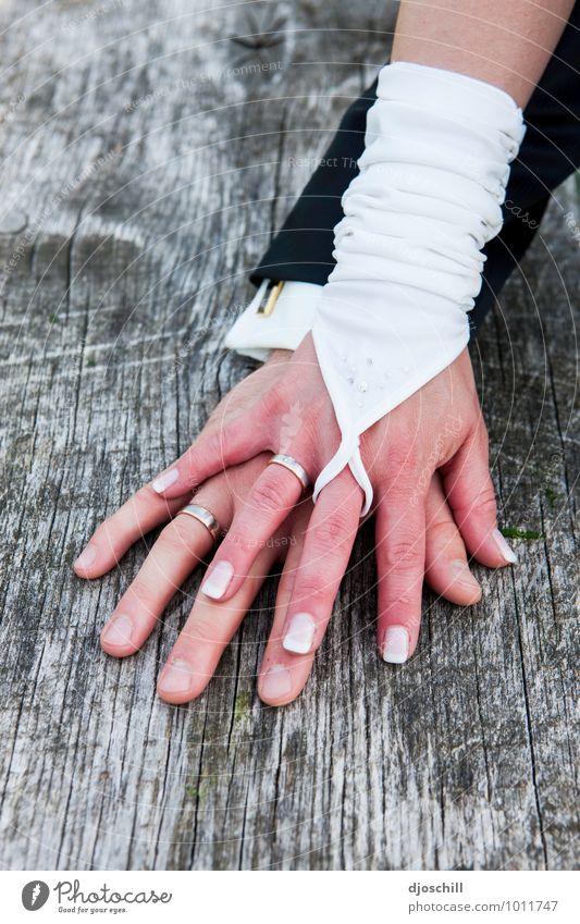 Hand in Hand Stil Design Freude Glück Hochzeit Schleife Holz Metall Zeichen Herz Liebe Zusammensein gold silber Zukunft Zusammenhalt Farbfoto Textfreiraum links