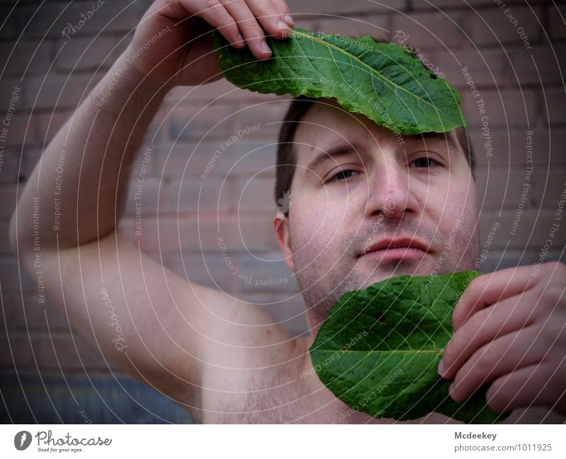 Mit Essen spielt man nicht! Mensch maskulin Junger Mann Jugendliche Kopf Haare & Frisuren Gesicht Auge Nase Mund Arme Hand 1 18-30 Jahre Erwachsene Pflanze