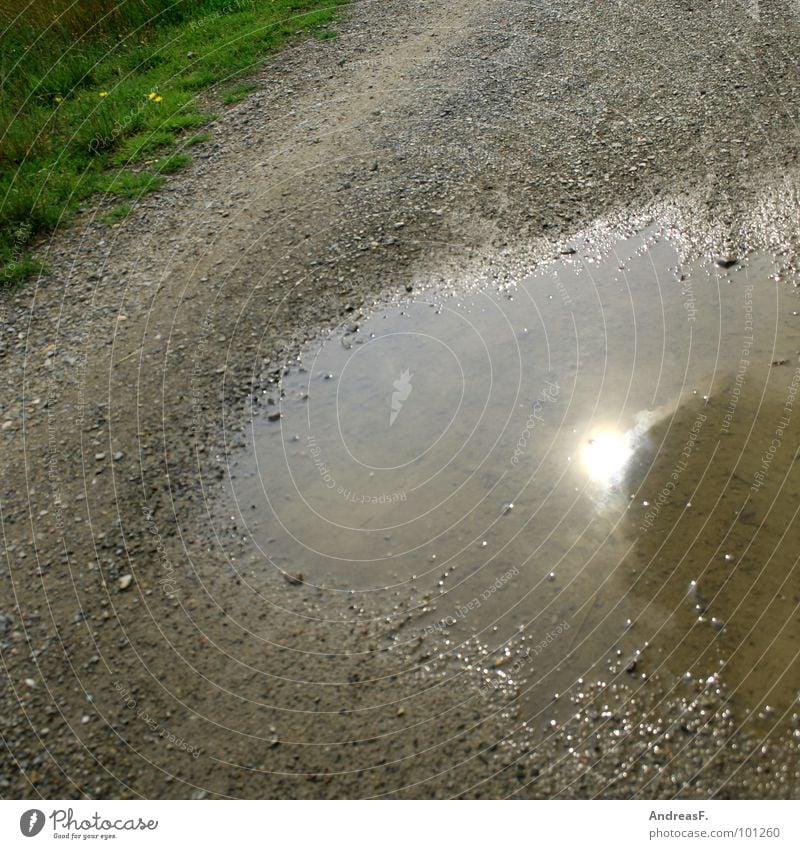 Pfützen fetzen Sommer Herbst nass Regen Schlamm schlechtes Wetter Regenwasser Reflexion & Spiegelung Wiese Wasser Wege & Pfade Bürgersteig Sonne Rasen Sand