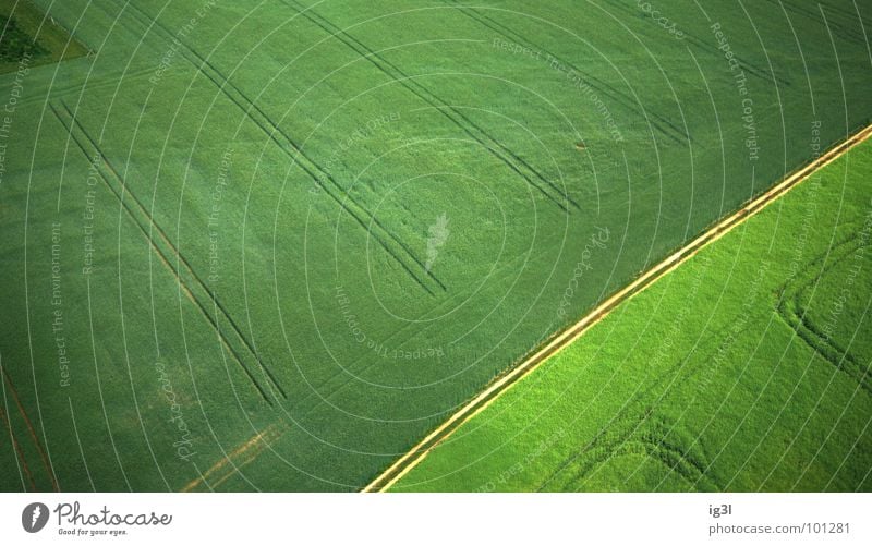 muster im gras Sommer Jahreszeiten Frühling springen Feld Wiese flach Muster grün glänzend gelb Vogelperspektive unten Kraft stark Fußspur Mähfahrzeug