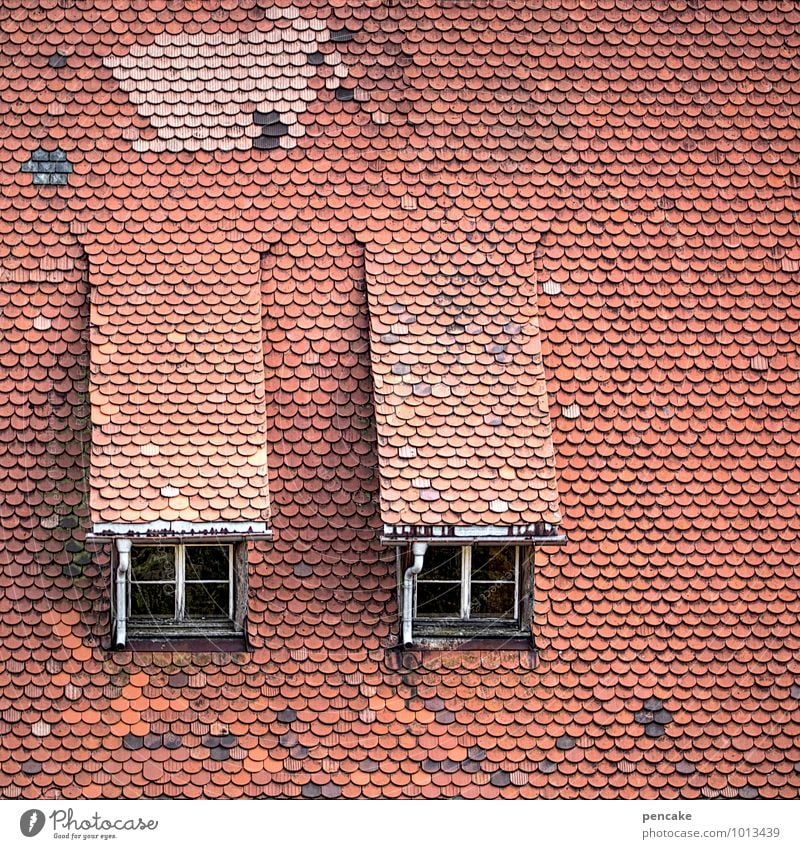 gute aussichten Haus Traumhaus Fenster Dach authentisch Freundlichkeit historisch rot ästhetisch Zufriedenheit Lebensfreude Nostalgie Präzision Wert Dachgaube