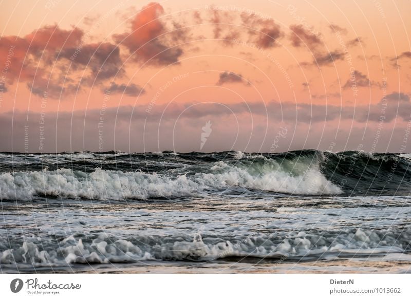 Wellen Natur Wasser Himmel Wolken Wetter Schönes Wetter Wind Sturm Küste Ostsee orange schwarz weiß Kraft Horizont Gischt Wolkenhimmel Farbfoto Außenaufnahme