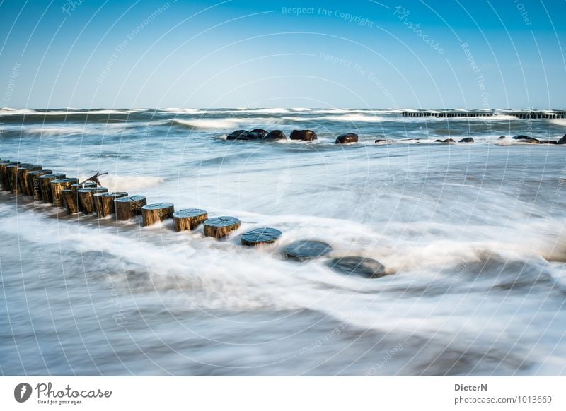 Reihen Landschaft Sand Wasser Himmel Wolkenloser Himmel Wetter Schönes Wetter Wind Sturm Wellen Küste Ostsee Meer blau braun weiß Kühlungsborn Buhne Felsen