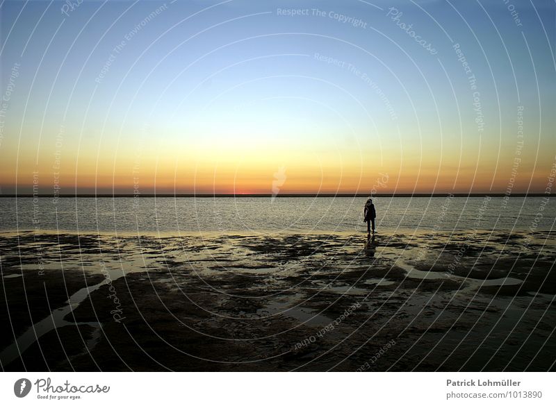 Tagesende feminin Erwachsene Körper 1 Mensch Natur Landschaft Sand Wasser Himmel Sonnenaufgang Sonnenuntergang Sommer Schönes Wetter Nordlicht Küste Strand