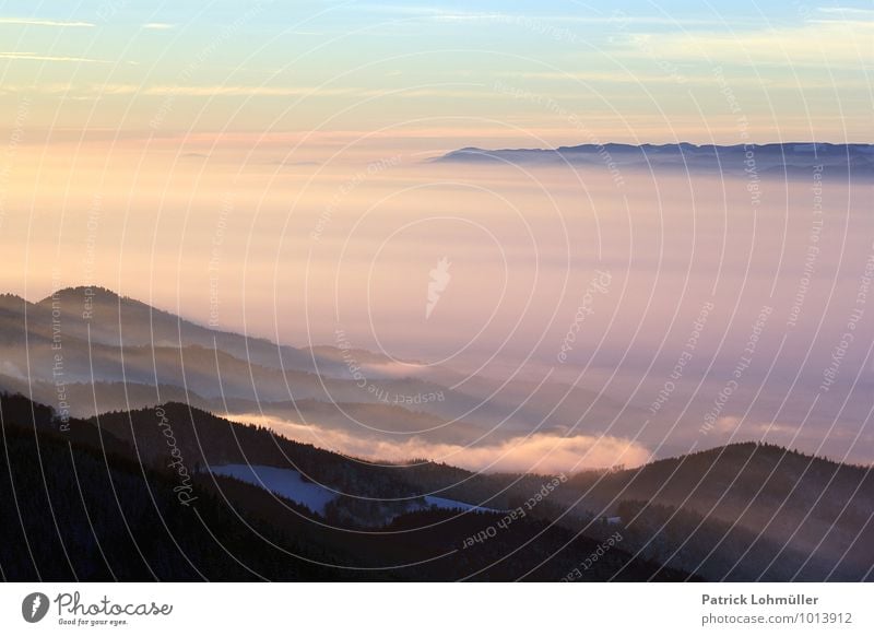 Tagesende auf dem Schauinsland Natur Landschaft Himmel Sonnenaufgang Sonnenuntergang Winter Schönes Wetter Nebel Wald Berge u. Gebirge Gipfel Kanton Freiburg