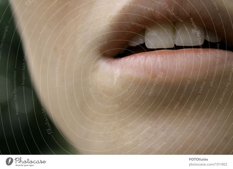 guck guck - hasenzähnchen Lippen Zahnlücke weich schön Sommersprossen Frau Makroaufnahme Nahaufnahme Mund sanft Natur Zähne