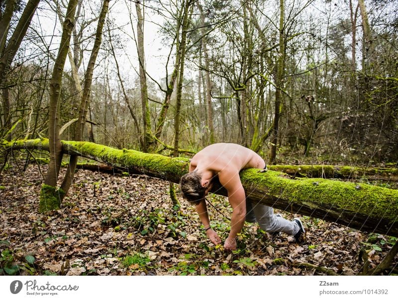 Naturverbunden maskulin Mann Erwachsene 30-45 Jahre Umwelt Landschaft Herbst Schönes Wetter Pflanze Baum Sträucher Moos Wald Jeanshose blond Erholung festhalten