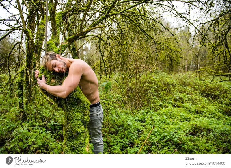 Naturverbunden maskulin Junger Mann Jugendliche 18-30 Jahre Erwachsene Umwelt Landschaft Herbst Schönes Wetter Pflanze Baum Sträucher Moos Urwald berühren