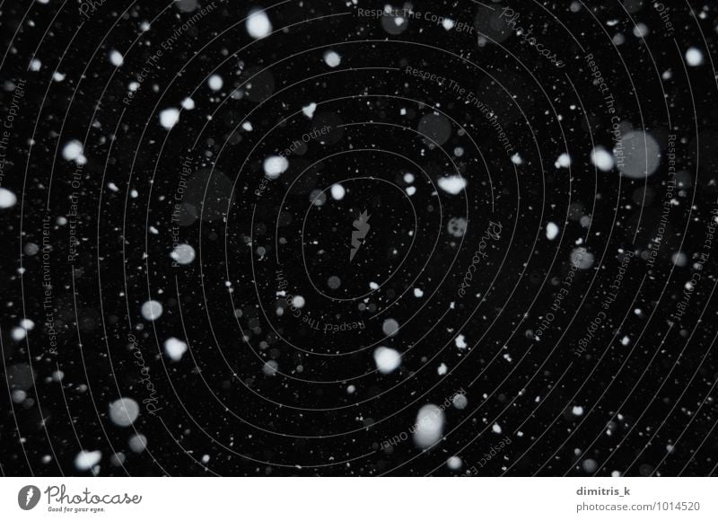 Schneefall in dunkler Winternacht ruhig Feste & Feiern Umwelt Natur Himmel Nachthimmel Wetter Unwetter Bewegung glänzend träumen dunkel kalt schwarz weiß