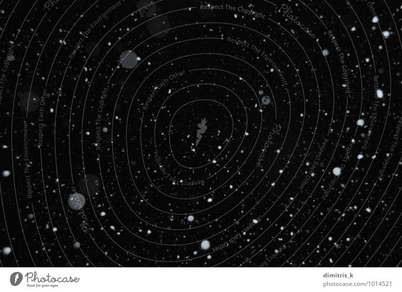 Schneeflocken am Nachthimmel ruhig Winter Feste & Feiern Umwelt Natur Himmel Wetter Unwetter Schneefall Bewegung glänzend träumen dunkel kalt schwarz weiß