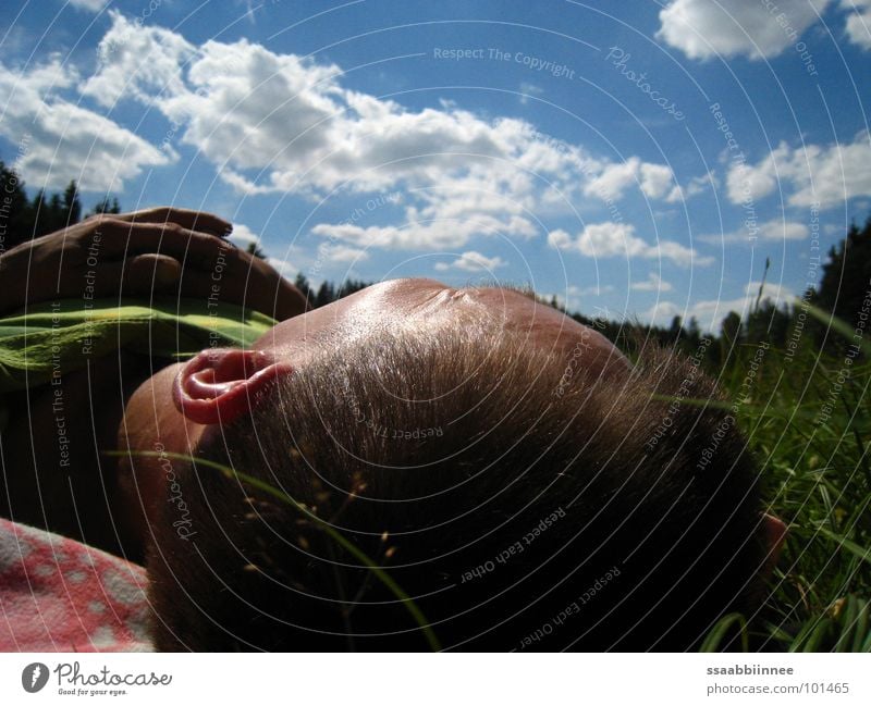 Wolkenträume Pause Mann Gras Sonntag schlafen Freizeit & Hobby Sommer Erholung träumen Hand Frieden friedlich Himmel Zufriedenheit Kopf