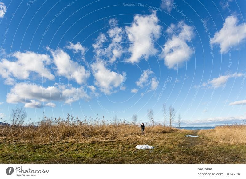 allein auf weiter Flur Ferien & Urlaub & Reisen Ausflug Freiheit Bodensee Umwelt Natur Landschaft Erde Wasser Himmel Wolken Winter Schönes Wetter Baum Gras