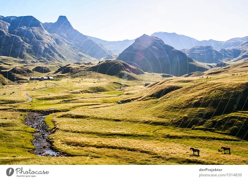 Wo ist Frodo? Freizeit & Hobby Ferien & Urlaub & Reisen Tourismus Ausflug Abenteuer Ferne Freiheit Berge u. Gebirge Umwelt Natur Landschaft Pflanze Tier