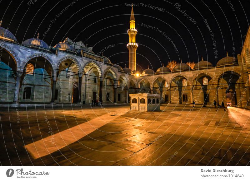 Moschee Ferien & Urlaub & Reisen Tourismus Sightseeing Städtereise Himmel Stadt Kirche Bauwerk Architektur Fassade Fenster Dach Sehenswürdigkeit Wahrzeichen