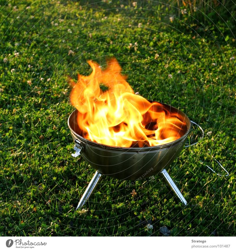 Ein Feuerchen Glut Staub schwarz züngeln gelb heiß Physik Grill Wiese Holz Sommer Grillen Standbein Blech Schnalle Brand Flamme Russ Rauch Wärme grillieren