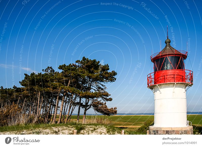 Der unbekanntere Leuchtturm auf Hiddensee Ferien & Urlaub & Reisen Tourismus Ausflug Abenteuer Ferne Freiheit Sommerurlaub wandern Umwelt Natur Landschaft