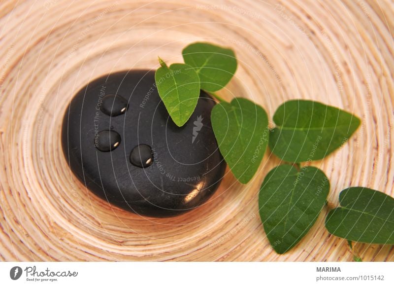 relaxing decoration to feel good Teller Schalen & Schüsseln Erholung Natur Pflanze Wassertropfen Blatt Stein Holz Lebensfreude schön Reinheit abstract ausruhen