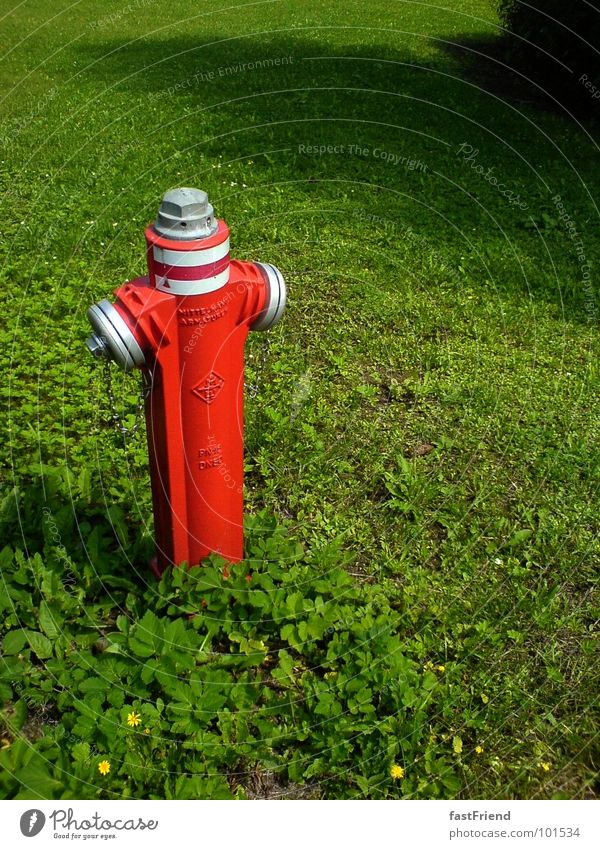 wer sich ärgert bleibt allein Hydrant Wiese rot grün löschen Klee zusätzlich Sommer Feuerlöscher Einsamkeit einzeln Schraube Wahrzeichen Denkmal obskur Metall