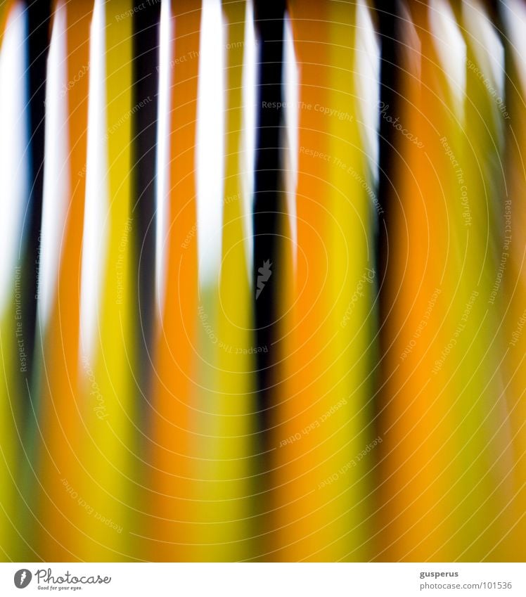 {wind game} Mikrofotografie Unschärfe unklar Distel Torun Musikkassette Lomografie obskur Farbe Bewegung Schnur Wind Weltall motion microcosm universe blurred