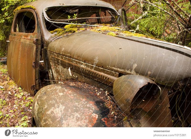 end of the road 6 PKW Oldtimer alt kaputt Trauer Senior ästhetisch Ende Nostalgie Umweltverschmutzung Verfall Vergänglichkeit Versicherung Zerstörung