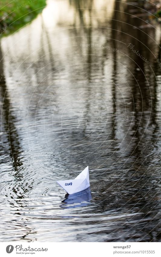 Wasserzeichen | Flussschifffahrt Schifffahrt Binnenschifffahrt Passagierschiff Wasserfahrzeug Papierschiff fahren Ferien & Urlaub & Reisen braun grün weiß