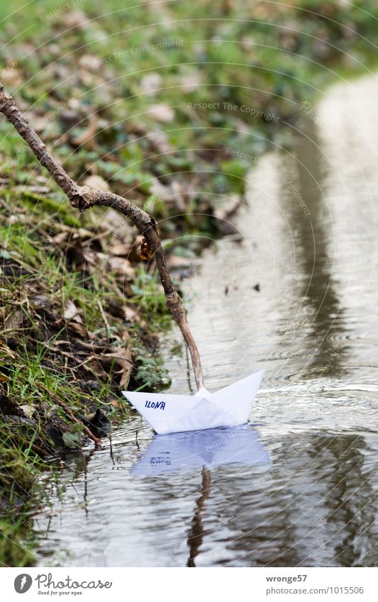 selbstgemacht | Papierboot II Spielen Bootsfahrt Papierschiff maritim braun grün Wasserfahrzeug Bach Bachufer Wasseroberfläche Spieltrieb kindisch Zweig Gras