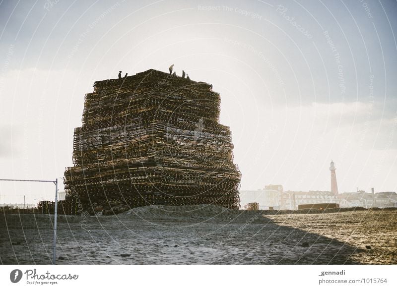 Lagerfeuer in Scheveningen Menschengruppe bauen Feuerstelle Baustelle Strand Paletten Schatten Farbfoto Außenaufnahme Textfreiraum rechts Tag Sonnenlicht