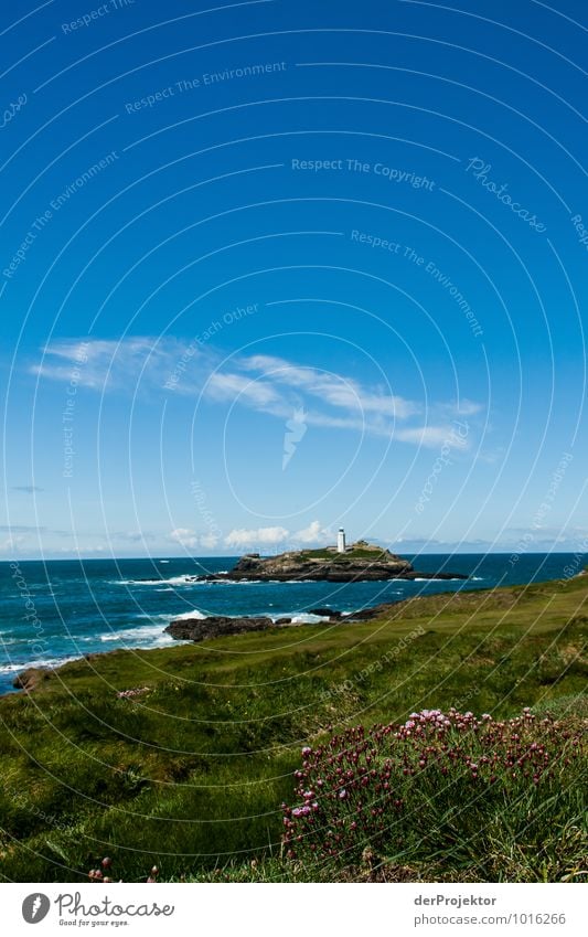 Ein letzer Blick auf den Leuchtturm Ferien & Urlaub & Reisen Ausflug Ferne Freiheit wandern Umwelt Natur Landschaft Pflanze Frühling Schönes Wetter Blume Hügel