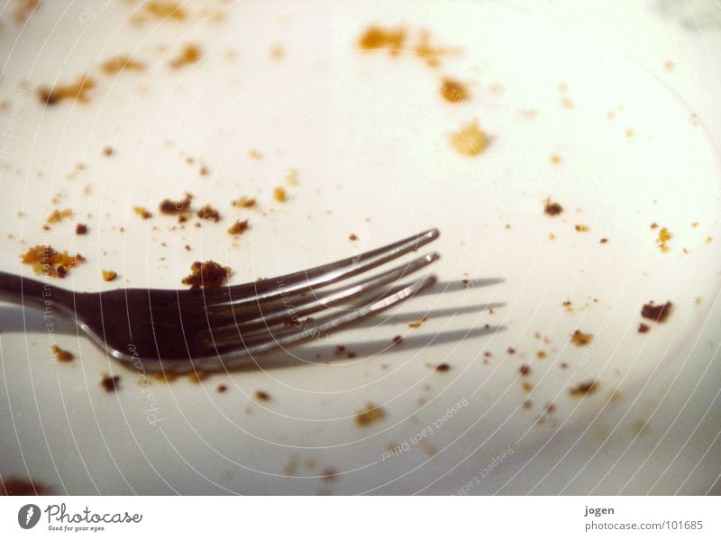 Der Kuchen ist verteilt... Teller Torte Geschirr Besteck Gabel Krümel Backwaren lecker aufgegessen weiß Brotkrümel Kuchengabel Rest verloren Schönes Wetter