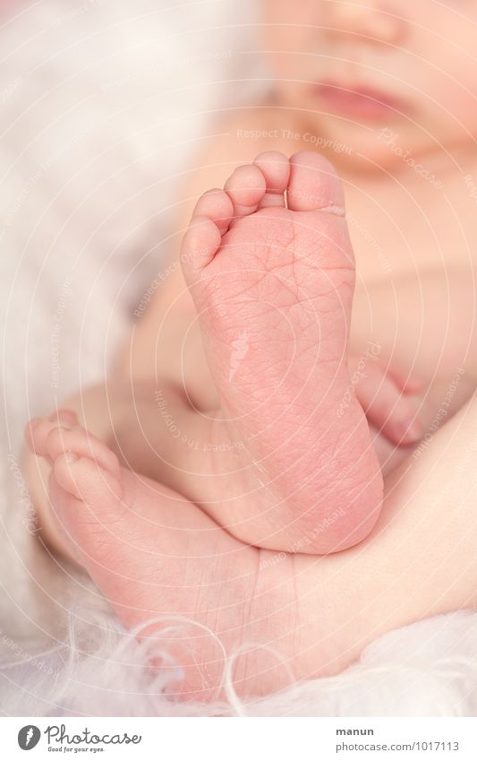 Baby Mensch Kind Familie & Verwandtschaft Kindheit Leben Beine Fuß Zehen 1 0-12 Monate Gesundheit klein natürlich stark Zufriedenheit Verantwortung Beginn