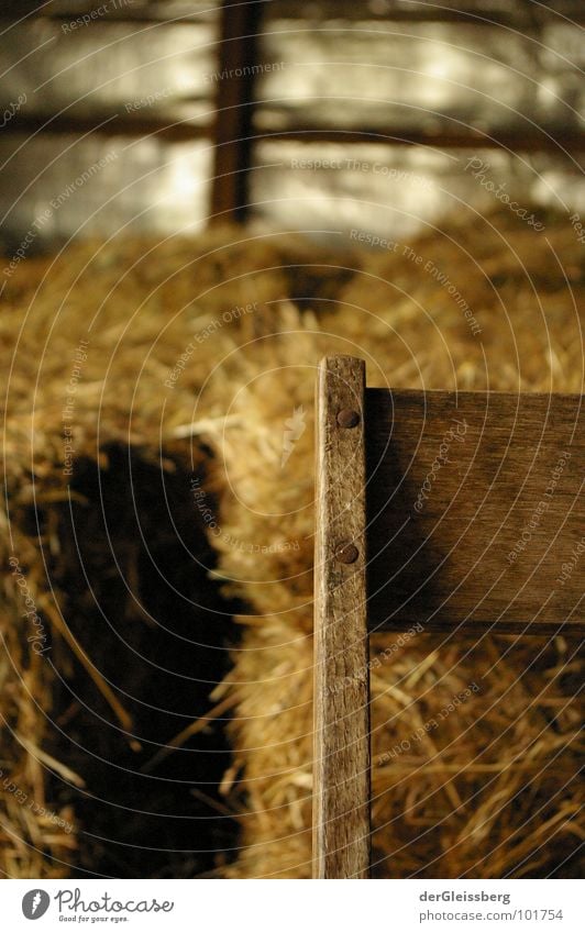 just sitting here Holz Stroh Stall Wand ruhig Aufenthalt Faser Geborgenheit Situation gelb braun Holzmehl Möbel Stuhl sitzen Erholung Schatten Rost chair stable