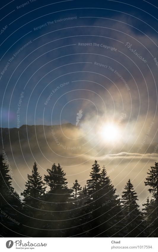 Sonnen Wolke Ferien & Urlaub & Reisen Winter Berge u. Gebirge Natur Landschaft Pflanze Urelemente Himmel Wolken Sonnenaufgang Sonnenuntergang Schönes Wetter