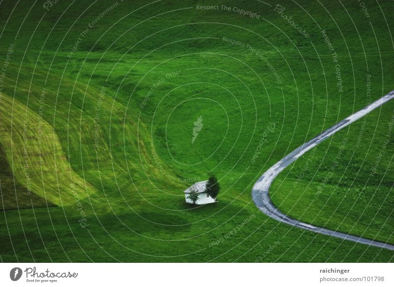 grünruhelage Sommer Haus Wiese Feld Einsamkeit abstrakt Baum Landleben ruhig Häusliches Leben schön Landschaft Straße Natur Idylle