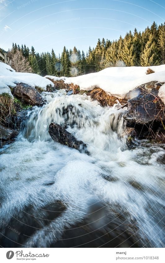 Schmelze Leben Natur Urelemente Wasser Himmel Frühling Winter Eis Frost Schnee Wellen Bach Wildbach Schneeschmelze Lebenswasser Flüssigkeit Gesundheit kalt nass