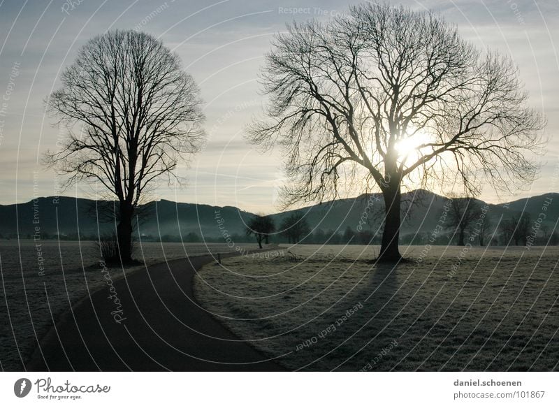 Herbstmorgen Winter Richtung Wiese geschwungen Baum Schwarzwald Hügel Hintergrundbild Horizont hell-blau grün braun Feld Fußweg Sonnenaufgang Raureif